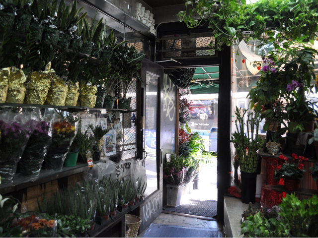The entrance to Fort Washington Florist is filled with blooming plants and flowers.