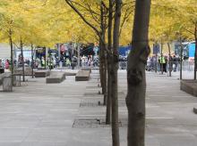 Zuccotti Park