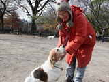 East Village Dog Owners Watch Masters as Much as Pets to Prevent Fights