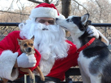 'Santa Paws' Coming to Visit Dogs and Kids in Inwood