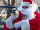 Track Santa's Sleigh Ride Around the Globe
