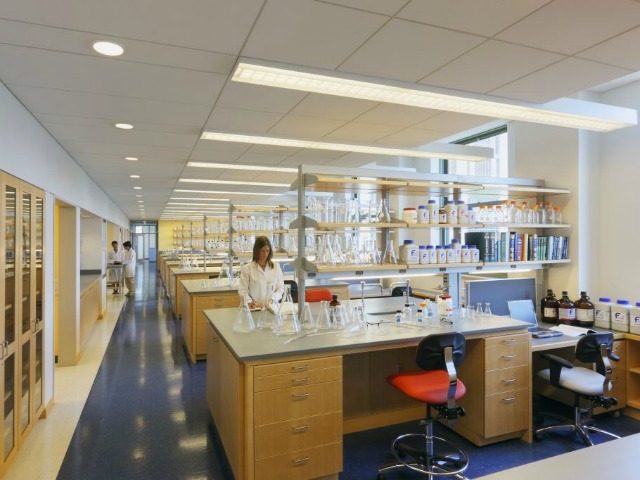 Rockefeller University 