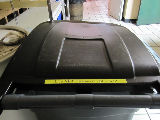 Garbage bin for fish
