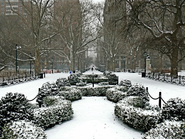 <p>Snow blanketed Washington Square Park on Sat., Jan. 21, 2012.</p>
