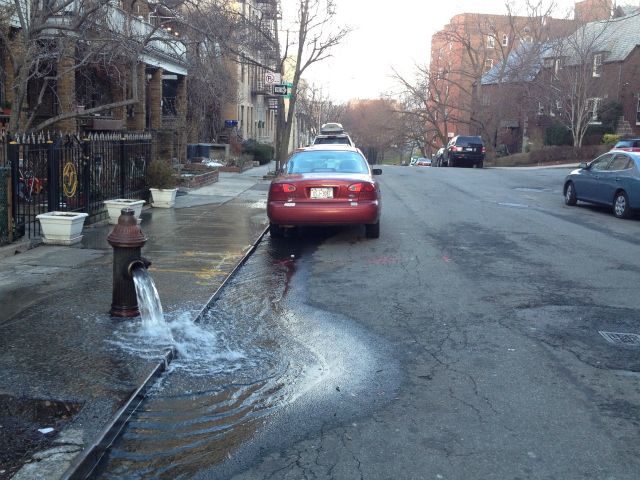 The Department of Environmental Protection flushed area fire hydrants as a precautionary measure after receiving reports of brown water.