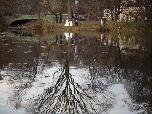 A couple poses for wedding pictures during the mild autumn weather in Prospect Park on November 27, 2011 in the Brooklyn borough of New York City. The Thanksgiving holiday weekend saw unseasonably mild weather with temperatures in the mid to high 60s in the northeast. Winter Jam was canceled due to warm weather, the Parks Department announced Thursday. (Photo by Michael Nagle/Getty Images) 