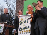Groundhog Day's Early Spring Prediction is No News in Balmy New York