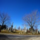 City Hits Cemetery with Fine for Standing Water in Flower Holders