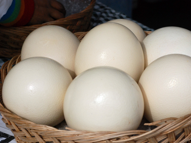 The basket of ostrich eggs in the Union Square Market.