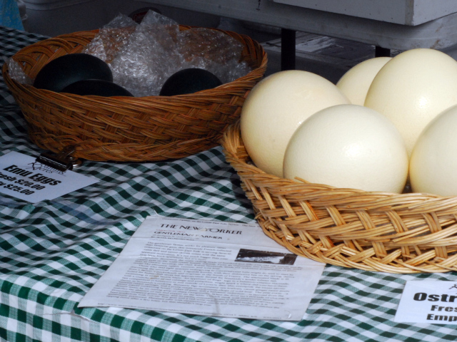 The ostrich and emu eggs attract a lot of attention.