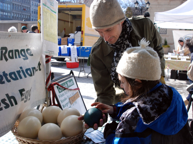 Brooklyn artist Tim Smith, 25, shows his son Finn, 8, what the emu egg looks like in the sunlight.