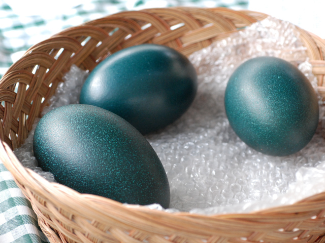 Braxton describes the emu eggs as 