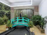 Monet's Giverny Garden Comes to Life in East Village Gallery 