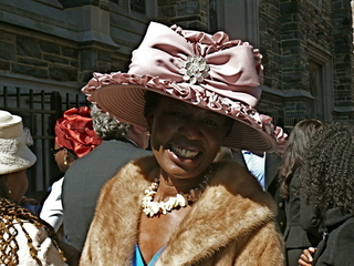 Small disc style hat in animal prints and plume trim.