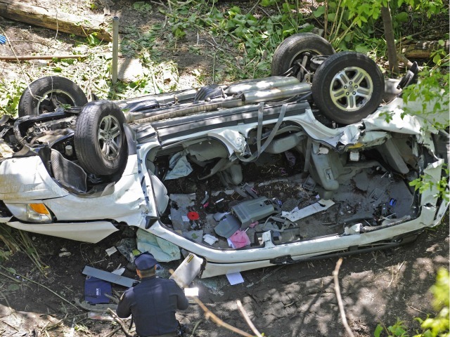 A van fell 100 feet from the Bronx River Parkway into the Bronx Zoo, killing seven, including a toddler.