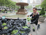 Bryant Park Gives Away Bags of Flower Bulbs