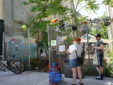 Crown Heights Community Garden to Be Razed as Neighborhood Blooms
