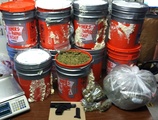 Police Arrest Four in Brooklyn After Discovering 125 Lbs. of Pot
