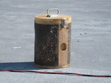 Bee Swarm Traps Family in Car at Pier 92 Parking Lot