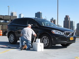 Bee Swarm Traps Family in Car at Pier 92 Parking Lot
