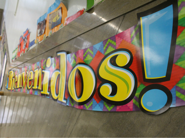 Beinvenidos, 