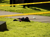 Woman Falls to Death in Brooklyn 