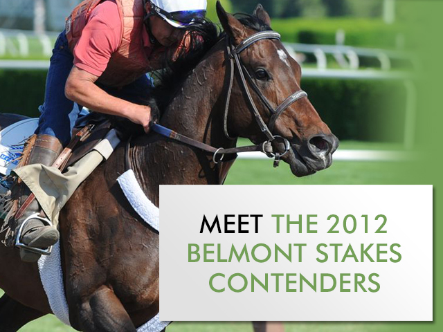 Photo provided by New York Racing Association.
