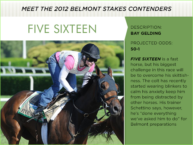 Photo provided by New York Racing Association.