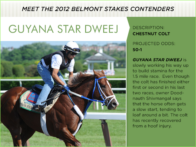Photo provided by New York Racing Association.
