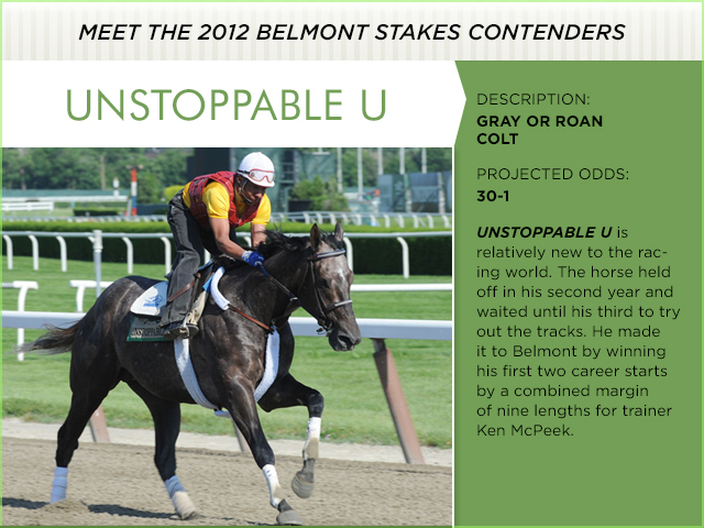 Photo provided by New York Racing Association.