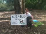 Don't Own a Pet? Rent-a-Dog Comes to Central Park