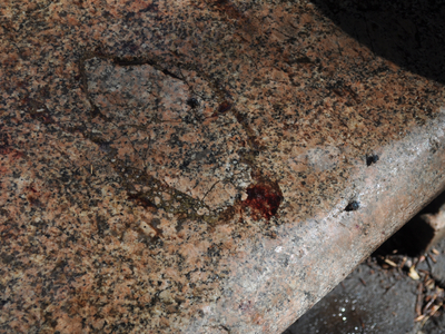 The bench where Michael O' Reilly was attacked in Isham Park still had blood on it the morning after the June 6, 2012 attack. 