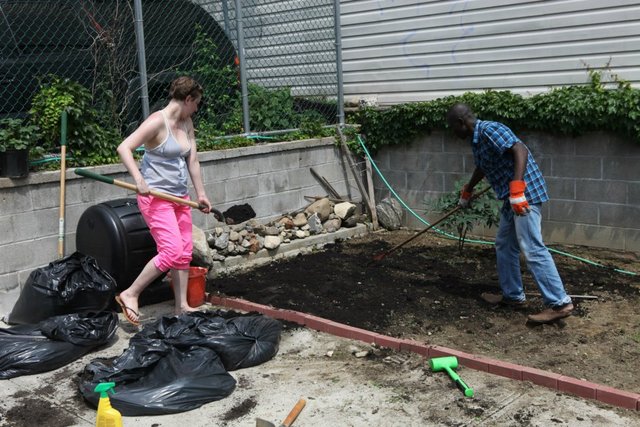 The Bronx Documentary Center started its own garden to host food workshops this summer, in collaboration with its current photo exhibit, 