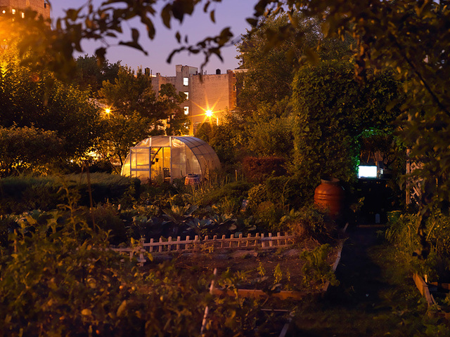 Taqwa Community Farm in Highbridge. This photo by Nina Berman is part of her exhibit 