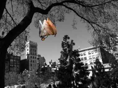 "Cart in the Park," a digital photograph by Aimee Hertog, is one of the 41 pieces selected to be shown at the Staten Island Museum's Juried Art Exhibit.