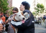 Police Bust Dog-Fighting Ring in the Bronx