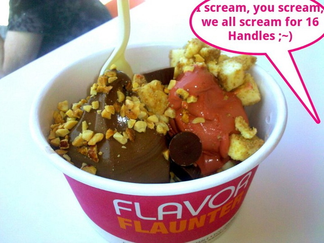 <p>The make-your-own frozen yogurt business offers 16 different flavors plus toppings that range from candy to fruit.</p>
