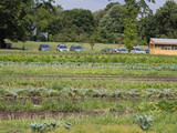 Staten Island Restaurant to Serve Produce from Local, Organic Farm
