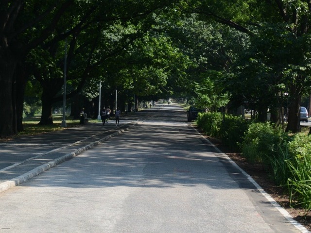 The project also created improved walkways along Bronx Boulevard, providing a link to other waterfront parkland along the Bronx River Greenway further south. 