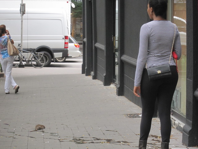A young woman pauses and checks out a dying rat before she passes it at Tramway Plaza. 