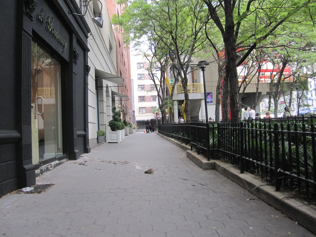 A path at Tramway Plaza with a dying rat in the middle of it. 