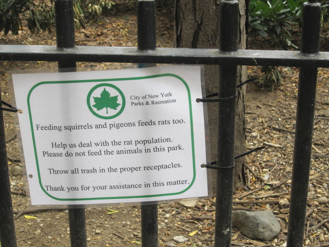 The Parks Dept. has signs at Tramway Plaza encouraging people to not feed pigeons.