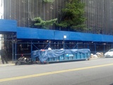 Construction Worker Falls 12 Feet in Fort Hamilton
