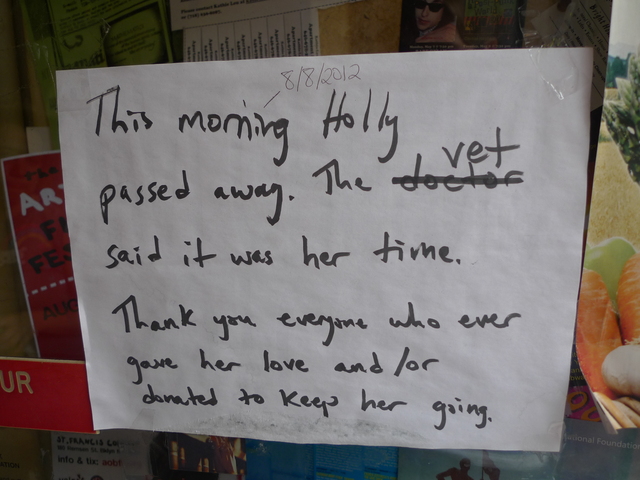 So many people were concerned about the health of Holly, the store cat at Babbo's Books in Windsor Terrace, that owner Leonora Stein posted a sign in the window when the cat passed away.