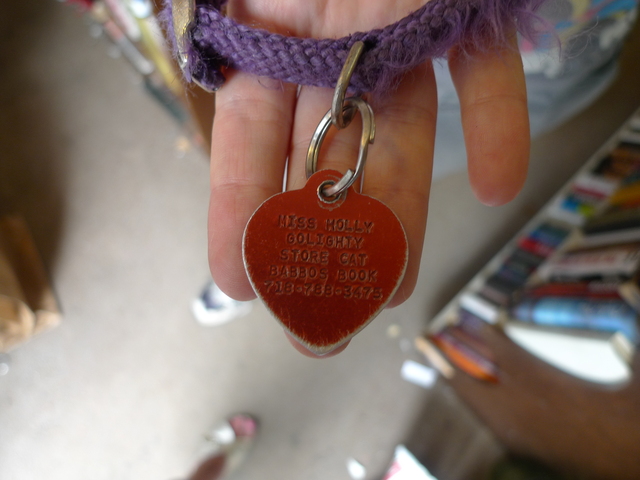 The collar that Holly, the store cat of Babbo's Books in Windsor Terrace, wore.