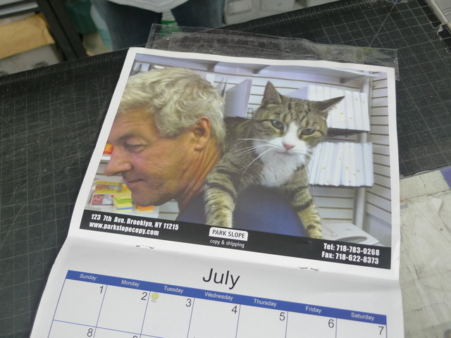Park Slope Copy Center's calendar depicts one of the store cats in a tender moment with a customer.