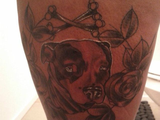 Lauren Richeson is desperately seeking her beloved pit bull Lily, whose portrait she had tattooed on her body, after the pup was snatched in Bushwick Monday night.  