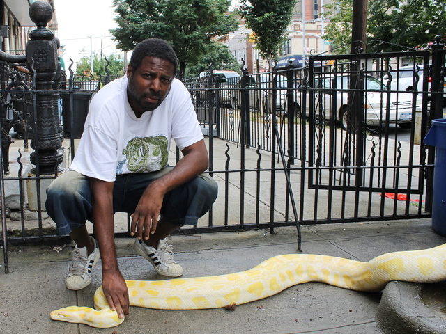 Clifford Smith said he got Venom right after she had hatched, when she was just a few inches big, in Colorado.