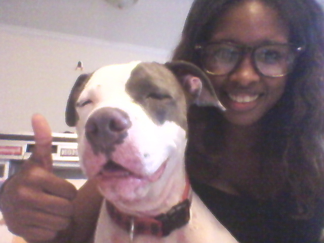 Lily, a pit bull stolen from outside a Bushwick grocery store, after being reunited with her happy owner, Lauren Richeson.