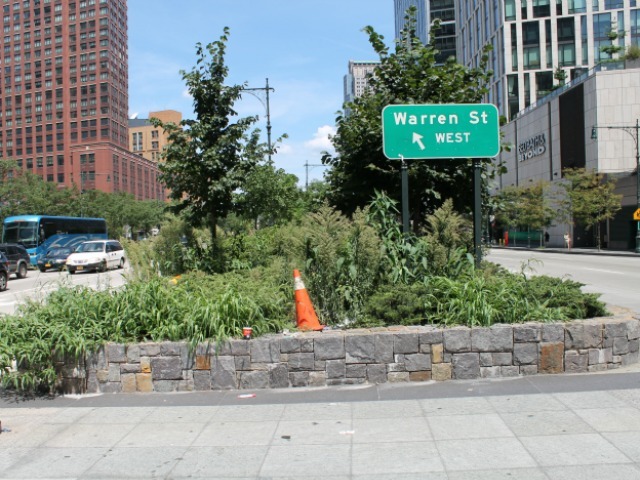 The West Street medians just south of Chambers Street have become overgrown with weeds. 
